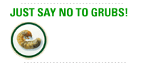 Just Say No to Grubs!